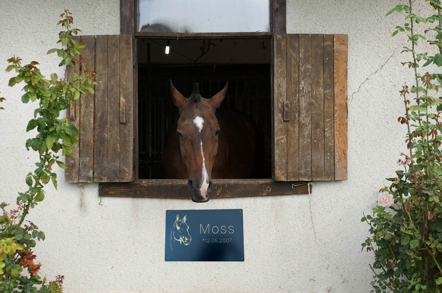 Boxenschild mit Pferd