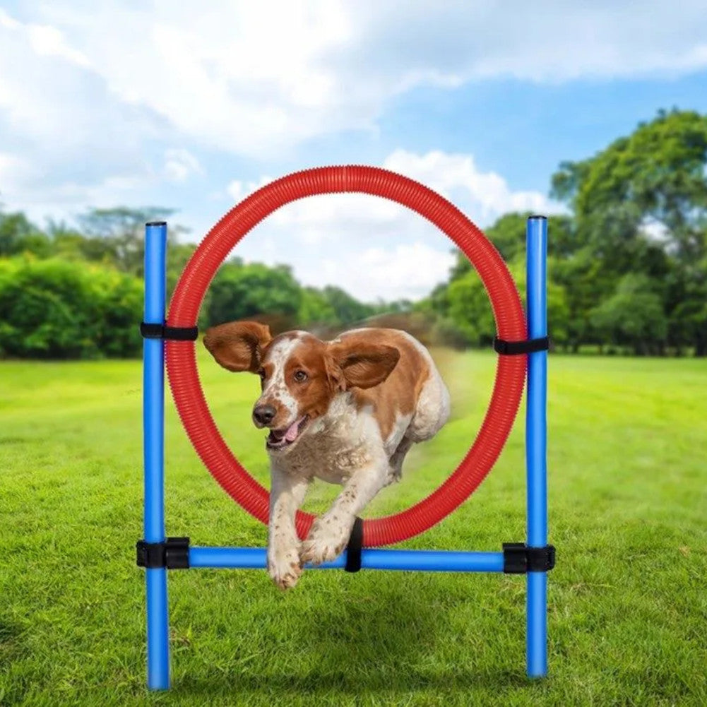 Agility Spring-Ring-Set für Hunde