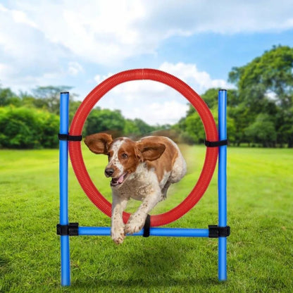 Agility Spring-Ring-Set für Hunde