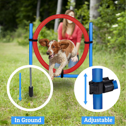 Agility Spring-Ring-Set für Hunde