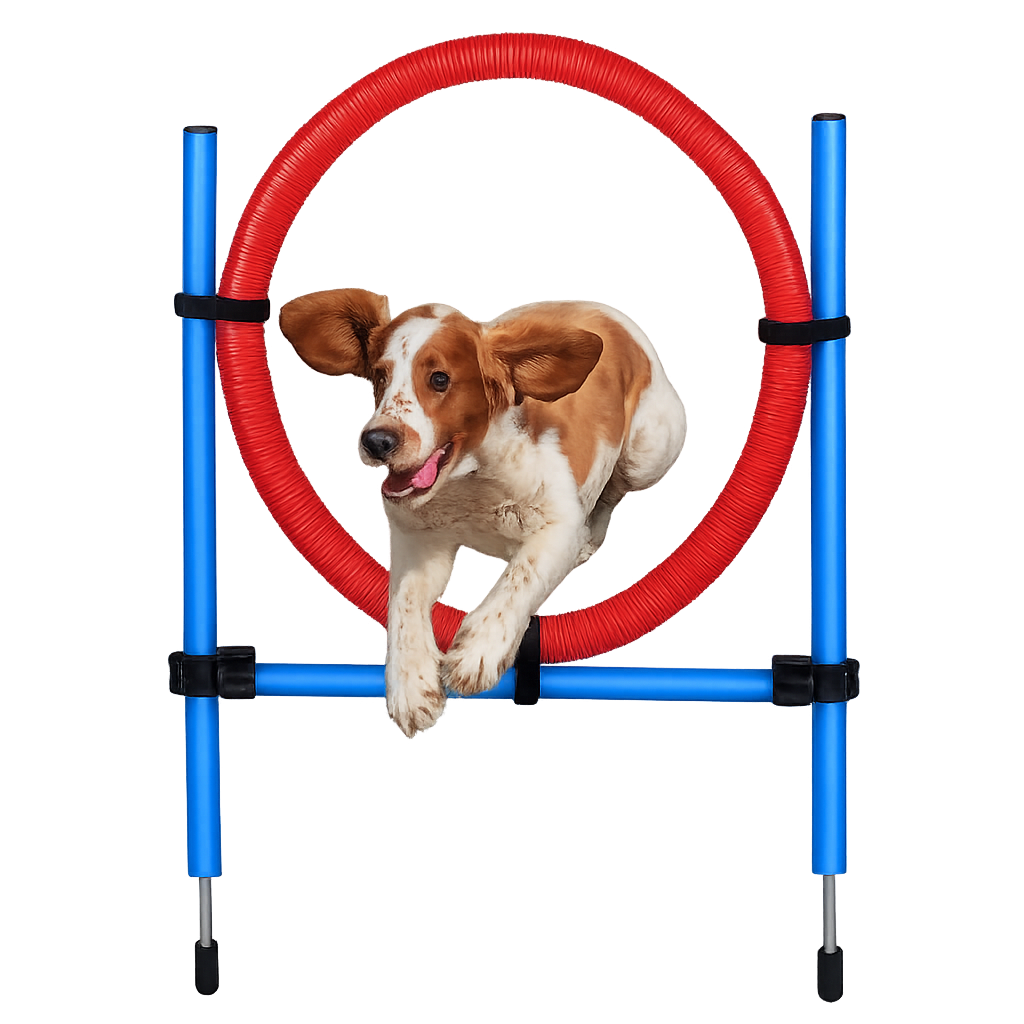 Agility Spring-Ring-Set für Hunde