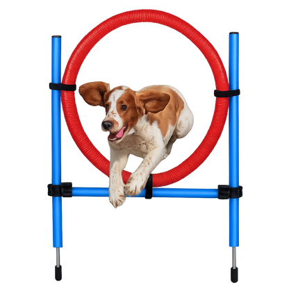 Agility Spring-Ring-Set für Hunde