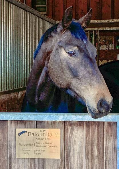 Stallschild Kunststoff Textvariante 2 (2 Generationen Abstammung)