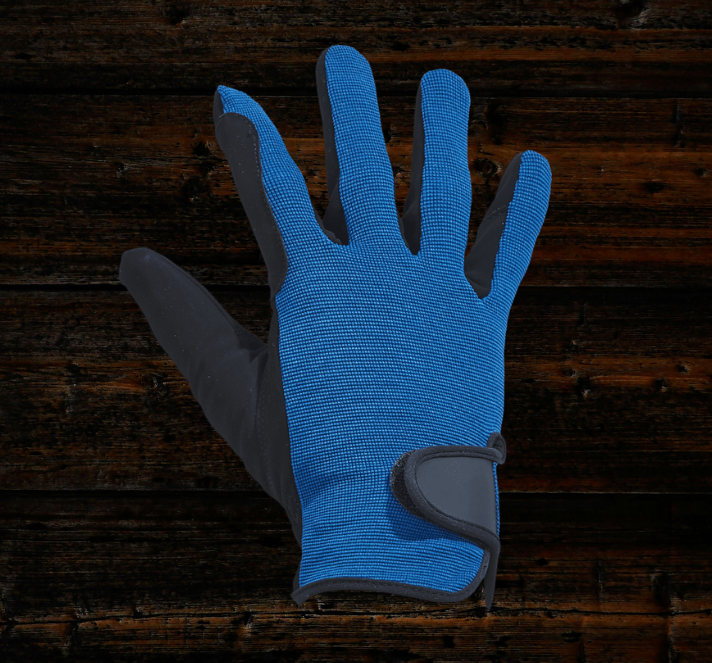 BUSSE Reithandschuhe BASIC blau