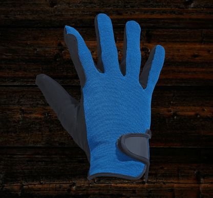 BUSSE Reithandschuhe BASIC blau