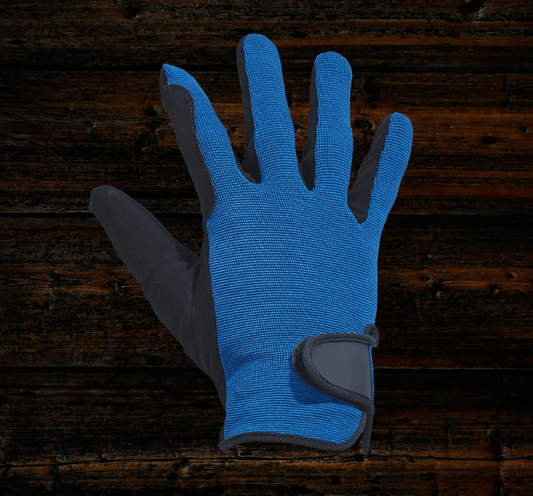 BUSSE Reithandschuhe BASIC blau