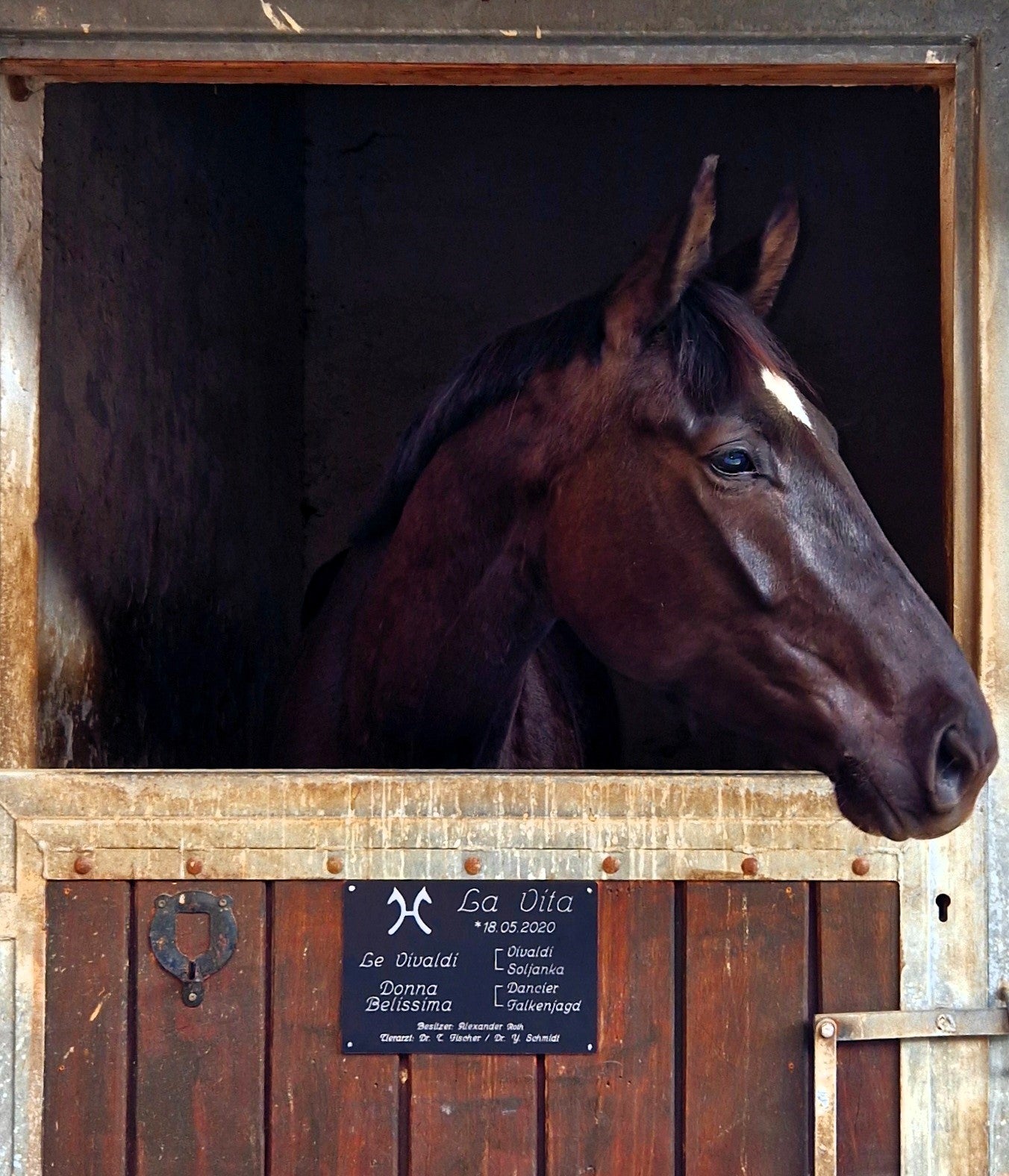Stallschild Aluminium Textvariante 1