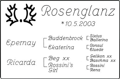 Stalltafel Variante 3
