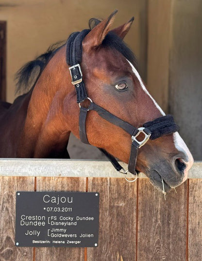 Stallschild Aluminium Textvariante 1