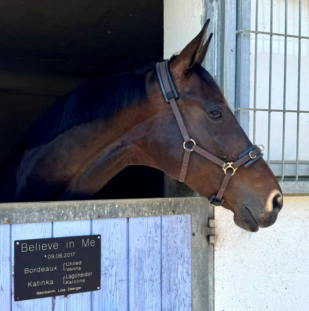Stallschild Aluminium Textvariante 1