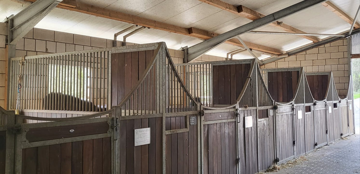 Stallschild Kunststoff Textvariante 2 (2 Generationen Abstammung)