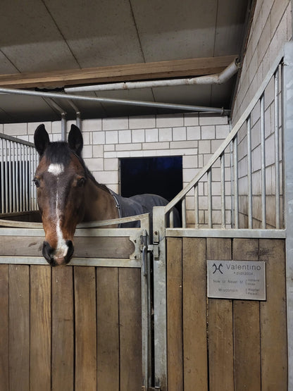 Stallschild Kunststoff Textvariante 2 (2 Generationen Abstammung)